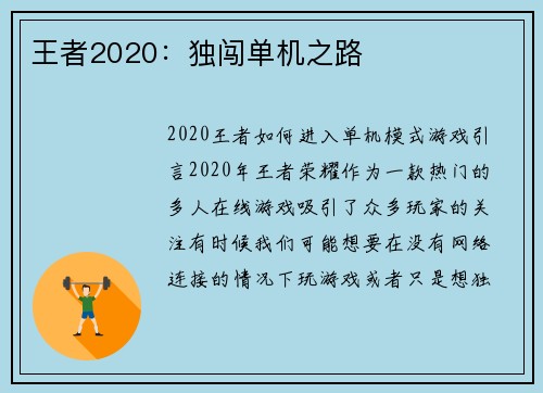 王者2020：独闯单机之路
